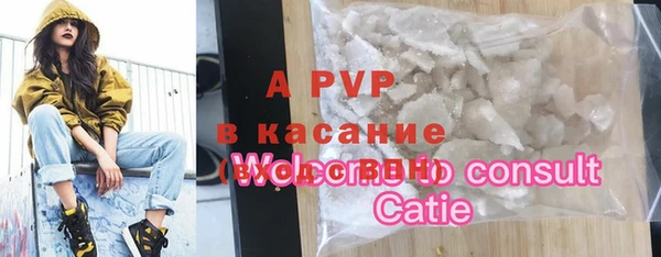 шишки Кукмор