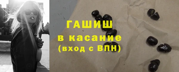 гидра Краснослободск